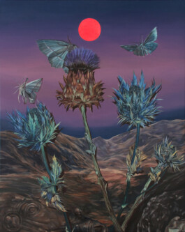 BRIAN HARNISCH
